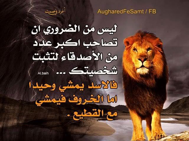 SKqqa43qGcePJq1qhlXalgyRsMqmHgc3tcRt1-mx