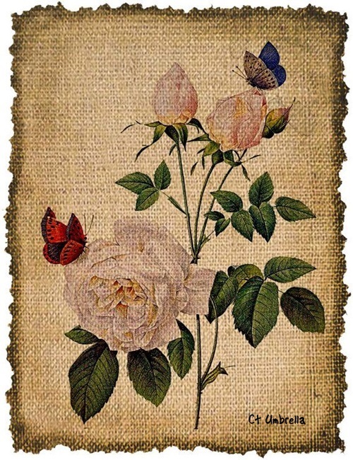 Z6z6S5IH0vGqacLm8ezqAkZozRGoBnS8VSHdxXaj