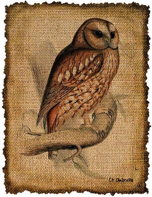 uEbz-CNkYCU16rTdCCqpmyj4DKuch6daoxS29UE0