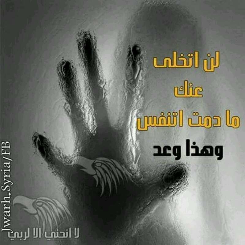 yVDNOcJoAdBuCU90bK3085H5g4e6fSNe3GMOz3lyom7Zwd7VaL-89Q==.jpg