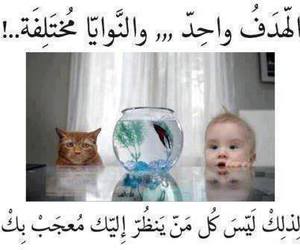 iReg6v5uR9dY7MMDV3Euh7D0QwZLaelxW5mRvWmV0evgTDbCp-J8fA==.jpg