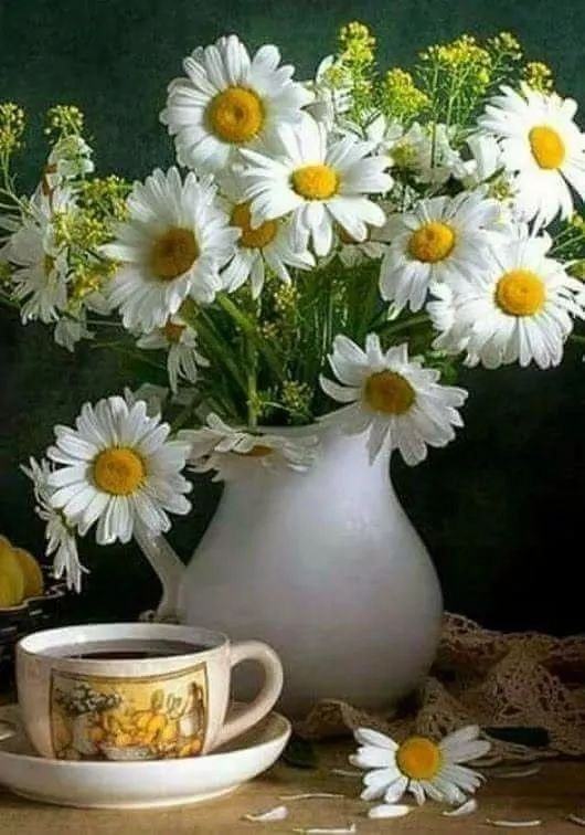 ERFaSwKx2C7EOewPtAgq7uRoy8peRlb-wF5guKP3Qmf1fhszAnsFkW9hFzupRhZe.jpg