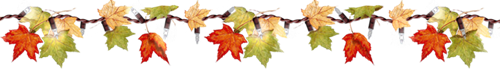 JbkkXJ95OtChVmSIgqSyncr3_zvLDzzLhCHzY4yB8AICDWq-qjTN2EnjESwh4ZIZ.png