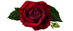 KsLjm-tCk57UsYGxdfSB87laPttHwFEAU7MQz1iRxoDCtcNvIVD863tqEwpMLBXL.png