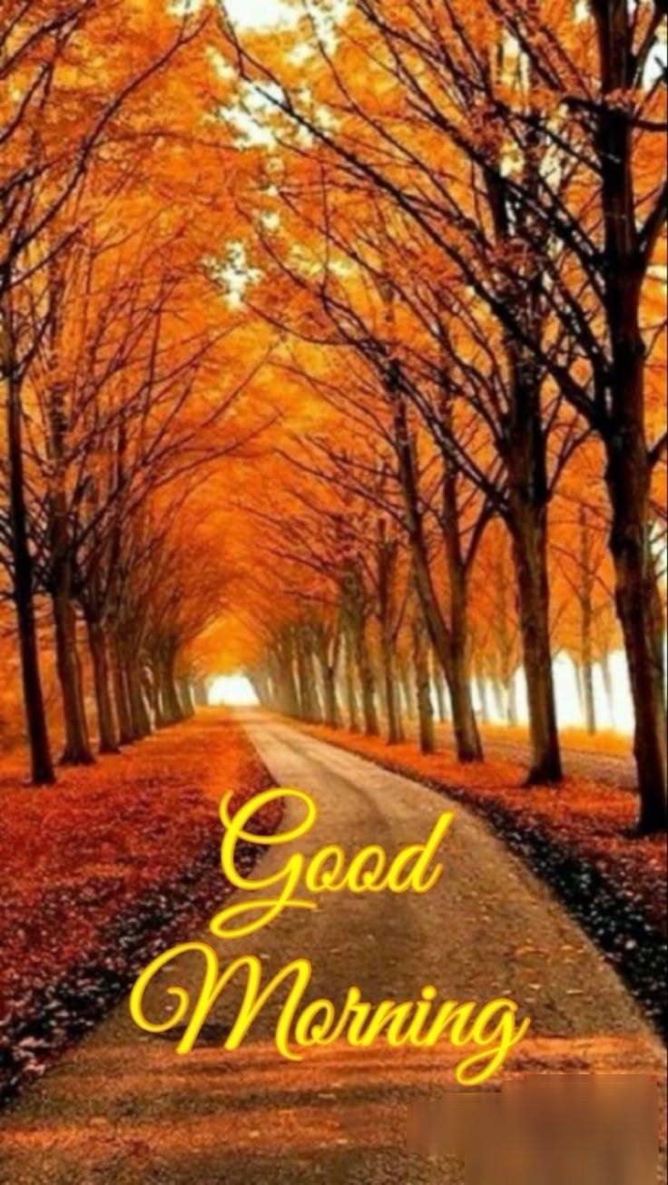 Qxqro5eYT-NcKcCRZfRxJ4ZvrSL2VUrllBvavnBIDj8o5-wb0q-o8MoB0Ts__PJR.jpg