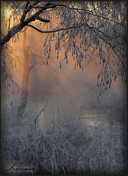 blWluclFkygiD4PCNXYupI-NPSxj-KmkjPbl5EFowekXgWr2uWBkyqWssQZSseob.gif