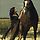 GAUCHO SAFADÃO ᵗʰᵃᶰᵏᵧₒᵤᴼʷᶰᵉʳ☞